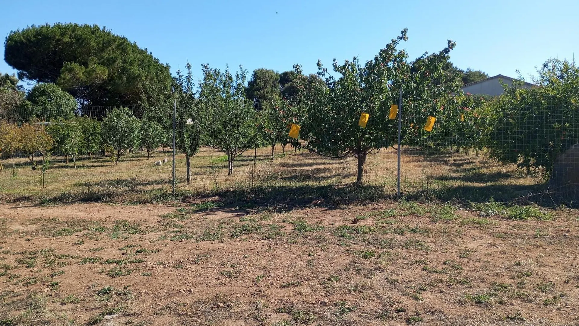 Agriturismo Sannoranna Cabras 0*,  Italy