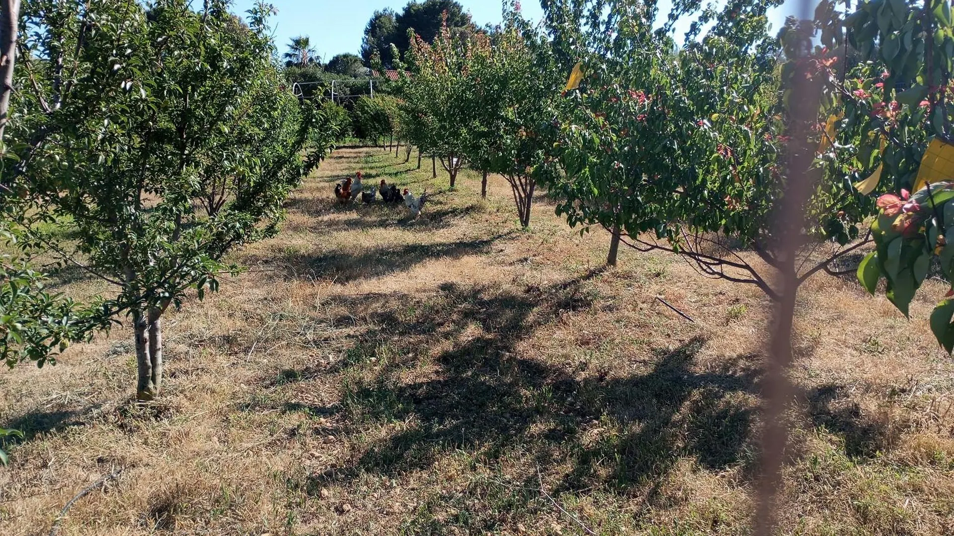 Farm stay Agriturismo Sannoranna Cabras