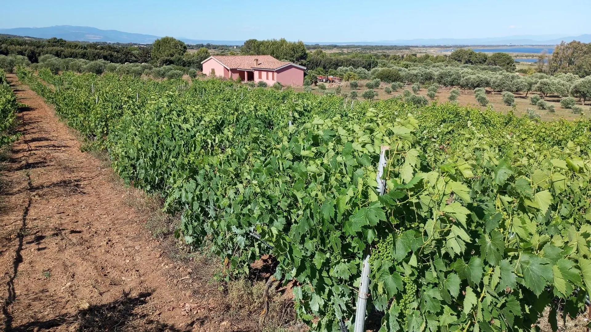 Agriturismo Sannoranna Cabras 0*,